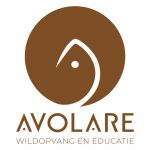 Avolare