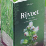 Bijvoet (Tanja Hilgers)